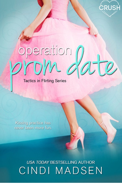 Cover image for book Operation Prom Date