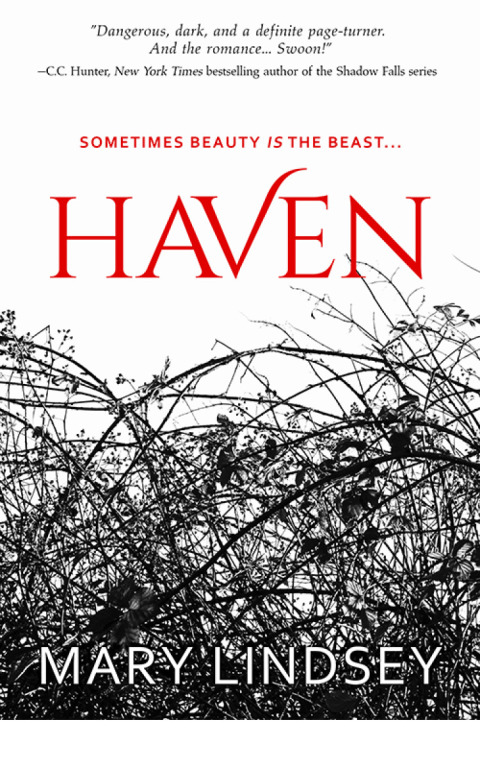 Cover image for book Haven