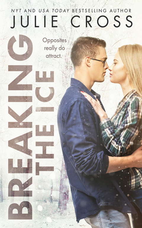 Cover image for book Breaking the Ice