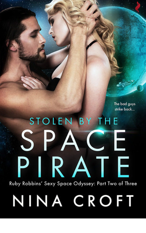 Cover image for book Stolen by the Space Pirate