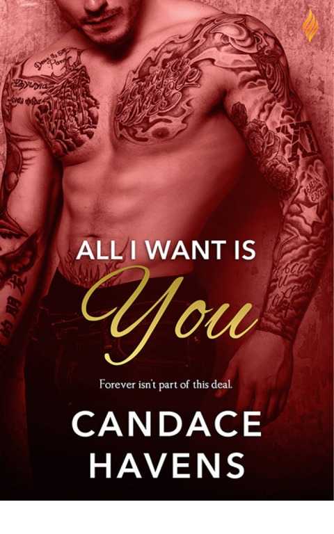 Cover image for book All I Want Is You
