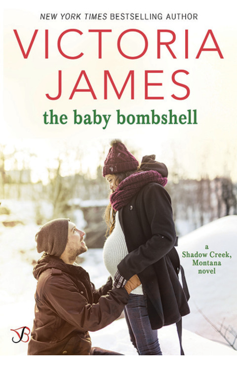 Cover image for book The Baby Bombshell