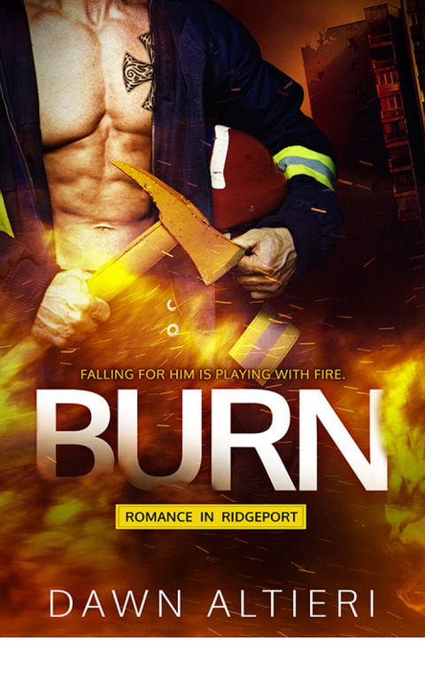 Cover image for book Burn