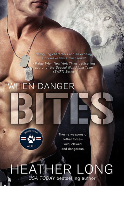 Cover image for book When Danger Bites
