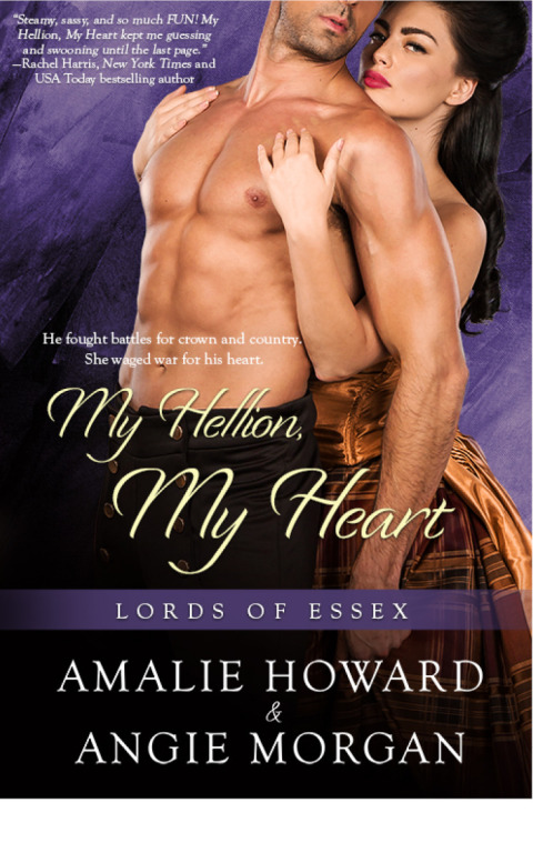 Cover image for book My Hellion, My Heart