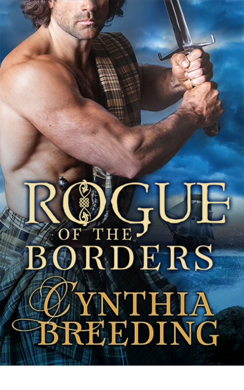 Cover image for book Rogue of the Borders