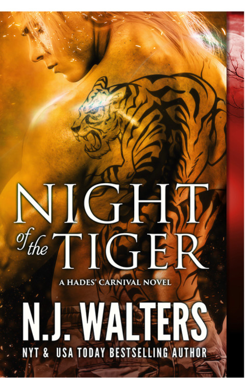 Cover image for book Night of the Tiger