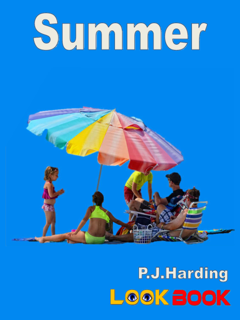 Cover image for book Summer