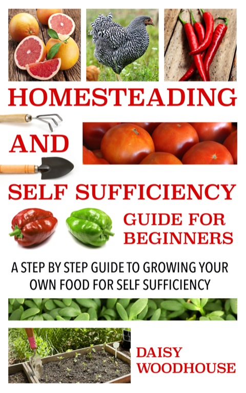 Cover image for book Homesteading and Self Sufficiency Guide for Beginners