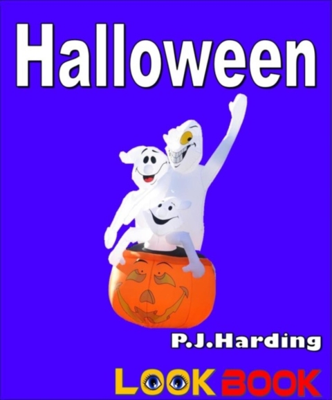 Cover image for book Halloween