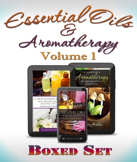 Cover image for book Freezer Recipes Made Easy