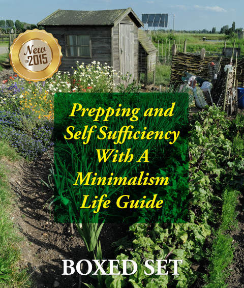 Cover image for book Prepping and Self Sufficiency With A Minimalism Life Guide: Prepping for Beginners and Survival Guides