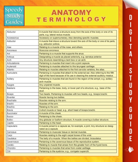 Cover image for book Anatomy Terminology