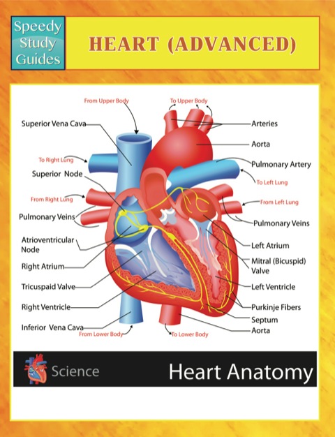 Cover image for book Heart (Advanced) Speedy Study Guides