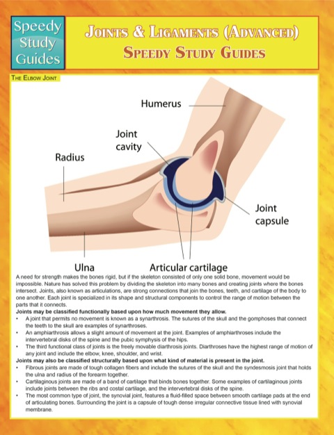 Cover image for book Joints & Ligaments (Advanced) Speedy Study Guides