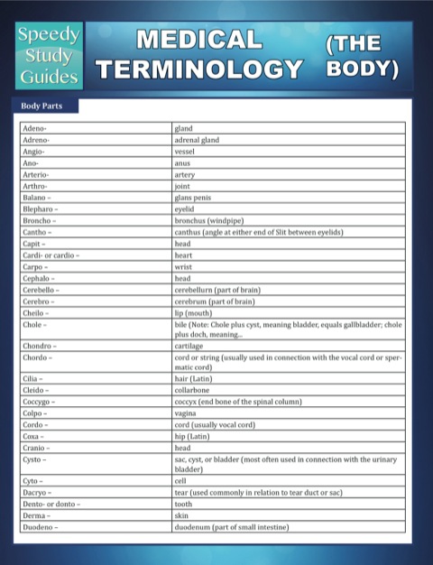 Cover image for book Medical Terminology (The Body) Speedy Study Guides