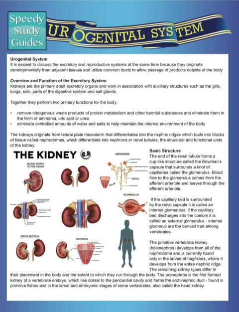 Cover image for book Urogenital System (Speedy Study Guides)