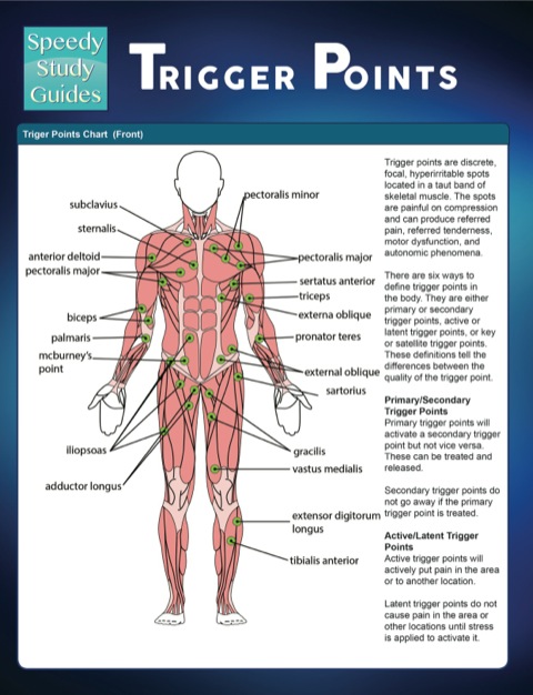 Cover image for book Trigger Points (Speedy Study Guides)