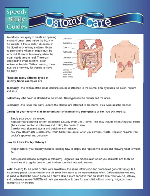 Cover image for book Ostomy Care (Speedy Study Guides)