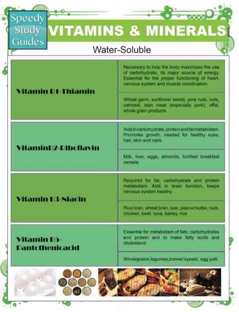 Cover image for book Vitamins & Minerals (Speedy Study Guides)