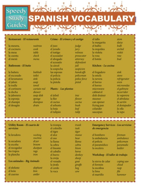 Cover image for book Spanish Vocabulary (Speedy Study Guides)