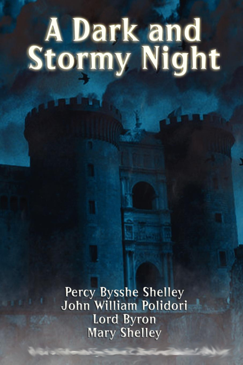 Cover image for book A Dark and Stormy Night