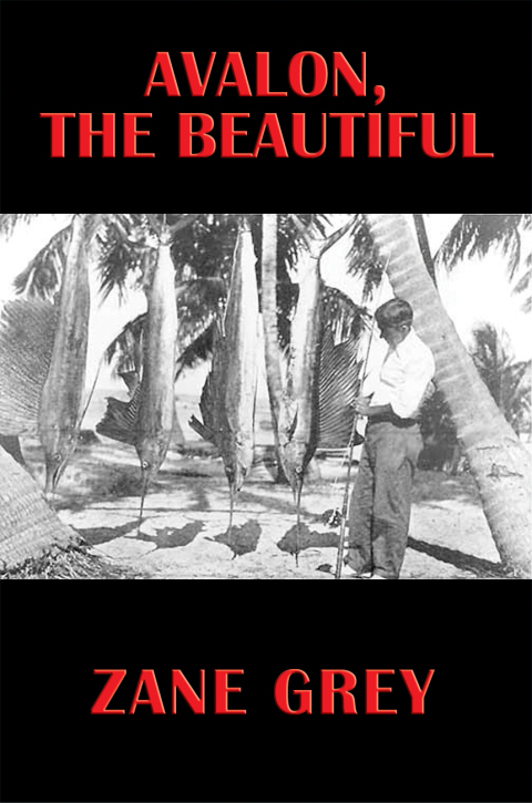 Cover image for book Avalon, the Beautiful