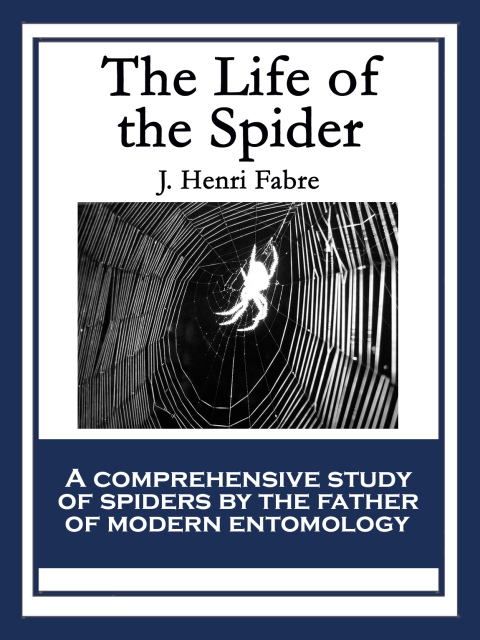 Cover image for book The Life of the Spider