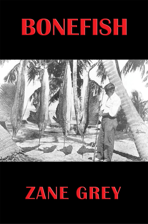Cover image for book Bonefish