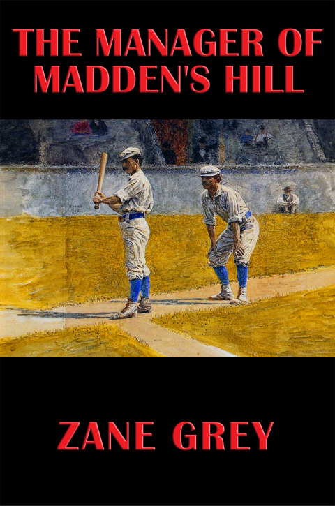 Cover image for book The Manager of Madden's Hill