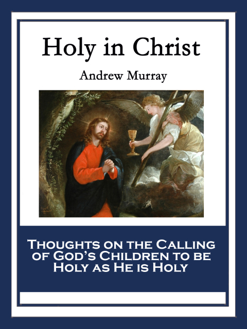 Cover image for book Holy in Christ