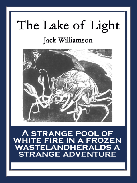 Cover image for book The Lake of Light