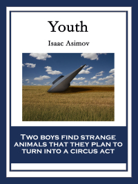 Cover image: Youth 9781633842717