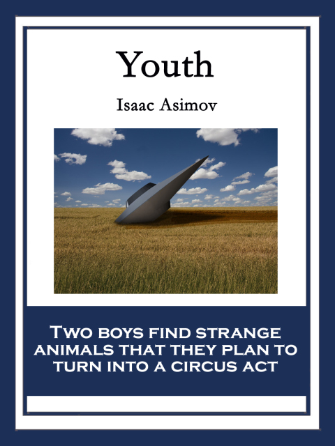 Cover image for book Youth