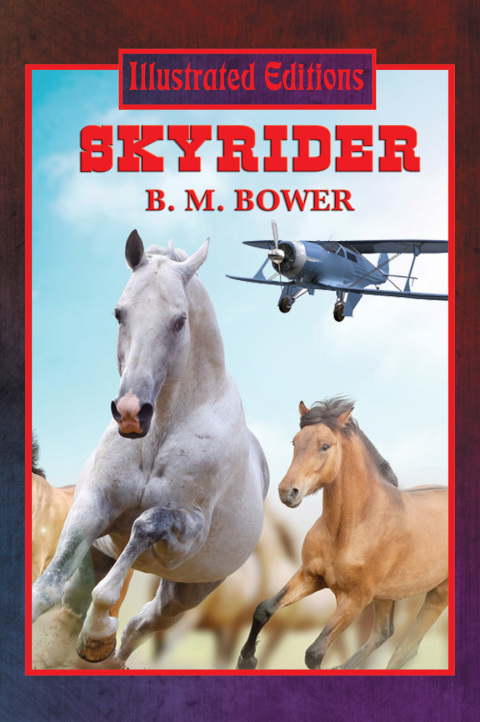 Cover image for book Skyrider (Illustrated Edition)