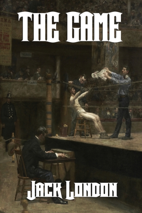 Cover image for book The Game