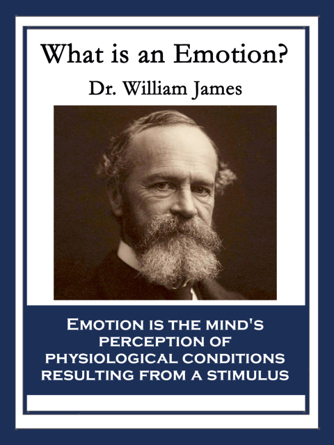 Cover image for book What Is an Emotion?