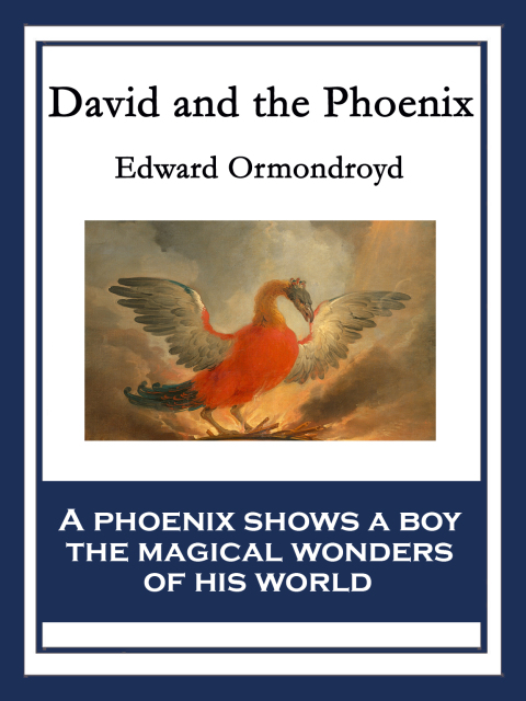 Cover image for book David and the Phoenix