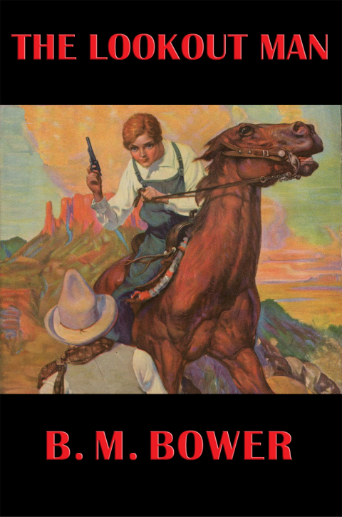 Cover image for book The Lookout Man