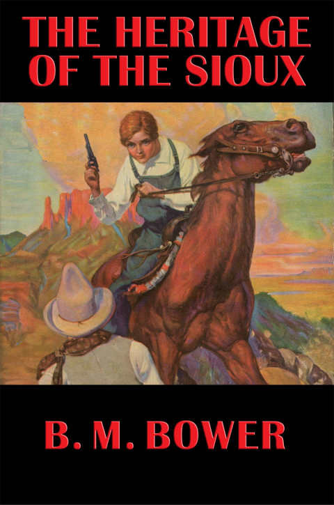 Cover image for book The Heritage of the Sioux