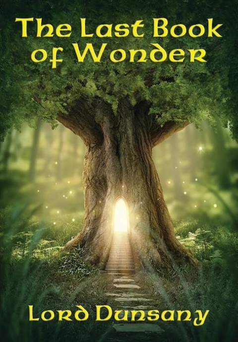 Cover image for book The Last Book of Wonder
