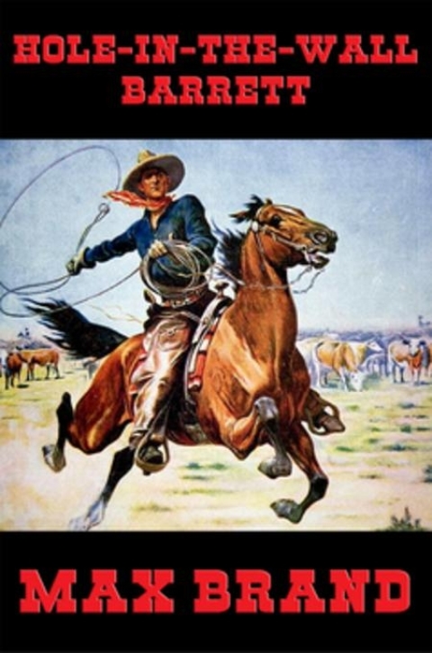 Cover image for book Hole-in-the-Wall Barrett