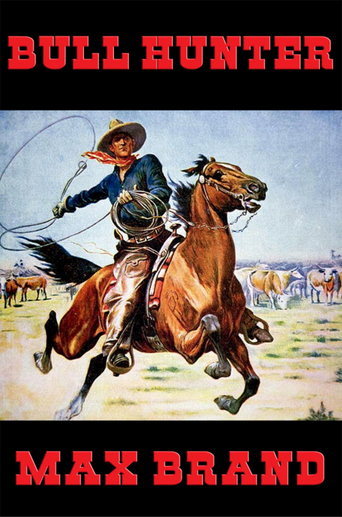 Cover image for book Bull Hunter