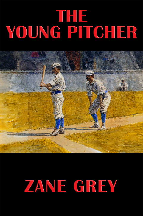 Cover image for book The Young Pitcher