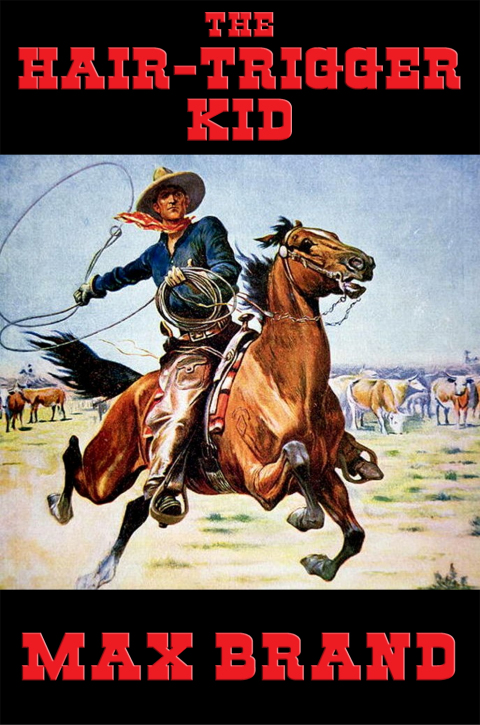 Cover image for book The Hair-trigger Kid