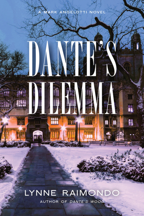 Cover image for book Dante's Dilemma