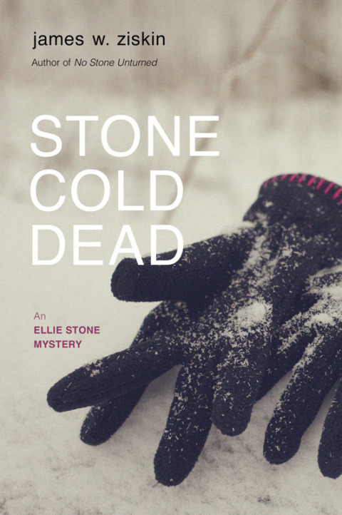 Cover image for book Stone Cold Dead