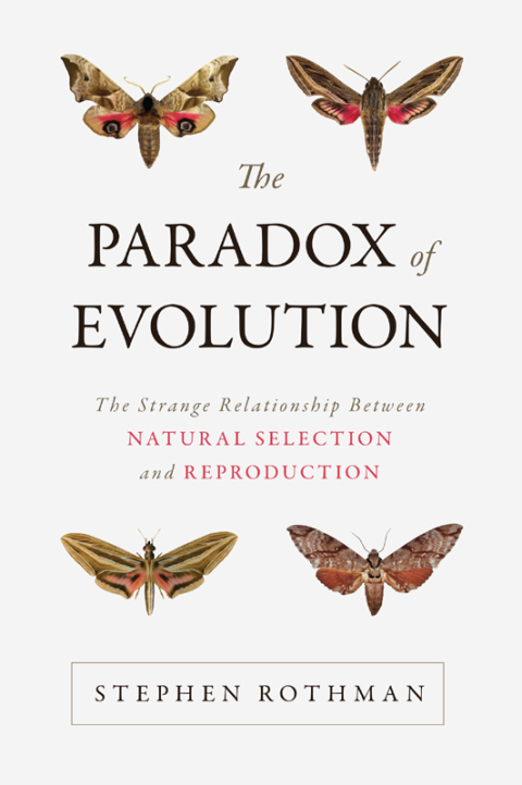 Cover image for book Paradox of Evolution