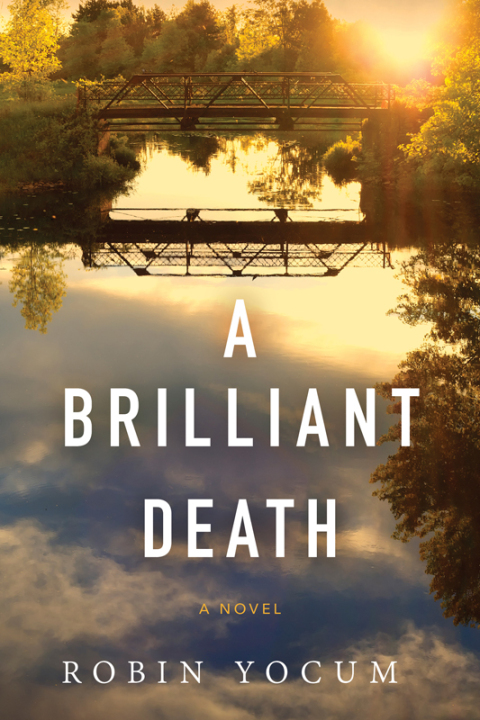 Cover image for book A Brilliant Death