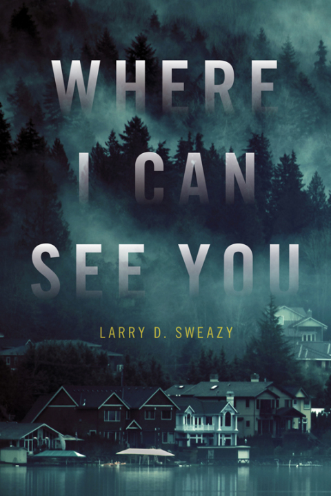 Cover image for book Where I Can See You